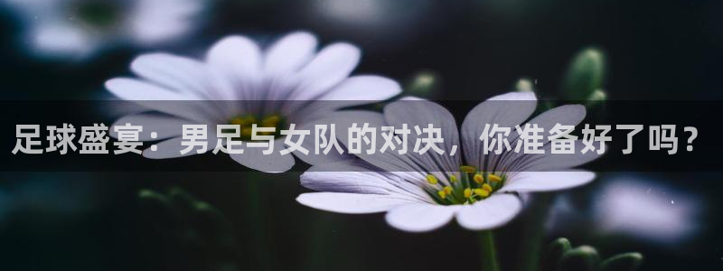 哈尔滨纵横国际旅行社