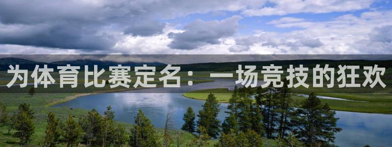纵横文学app