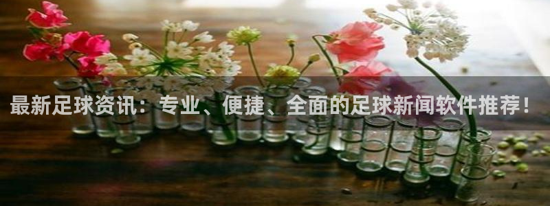 纵横国际影城石厦