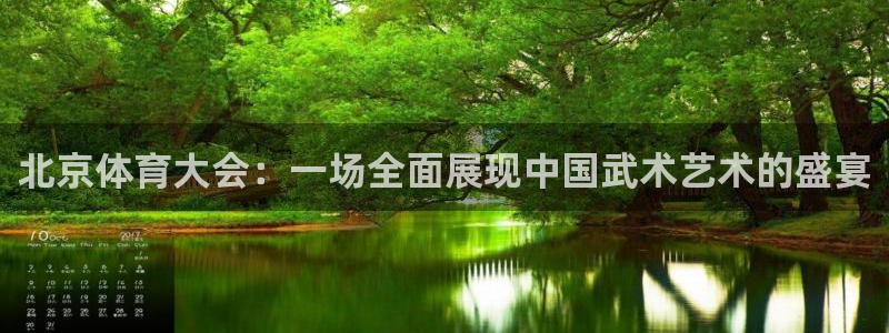纵横中文app