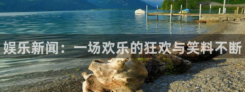行里纵横app