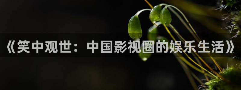 纵横国际展览