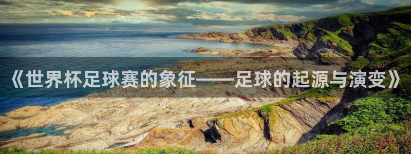 纵横电子