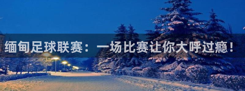 航旋纵横app