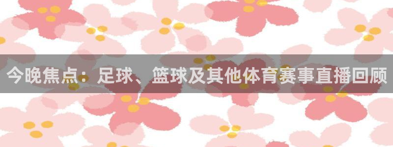 纵横文学app