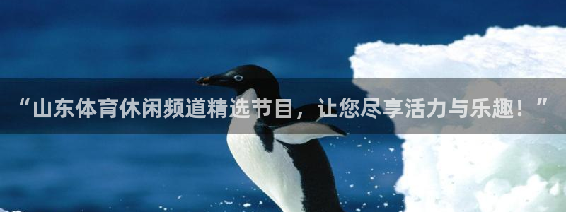 纵横世界