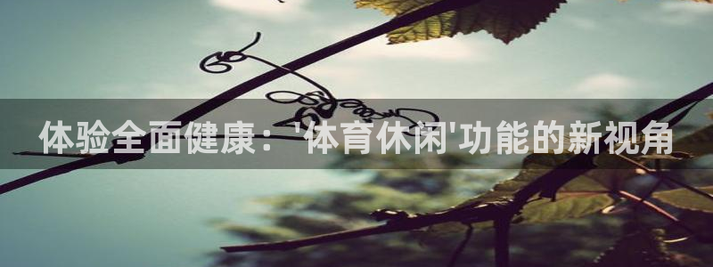 纵横中文网app