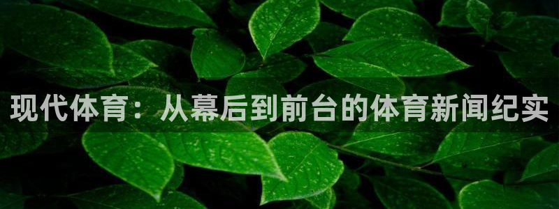 纵横国际旅行社官网