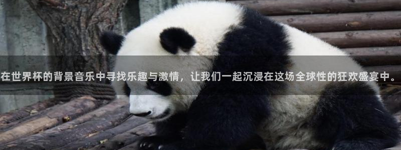 穿越者纵横动漫世界txt