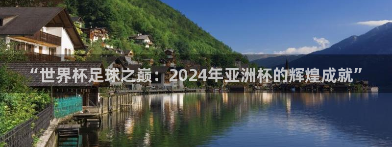 纵横国际官网入口