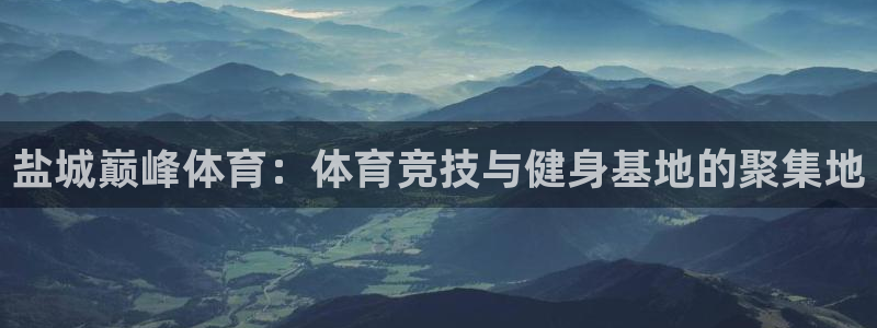 纵横国际下载安装包